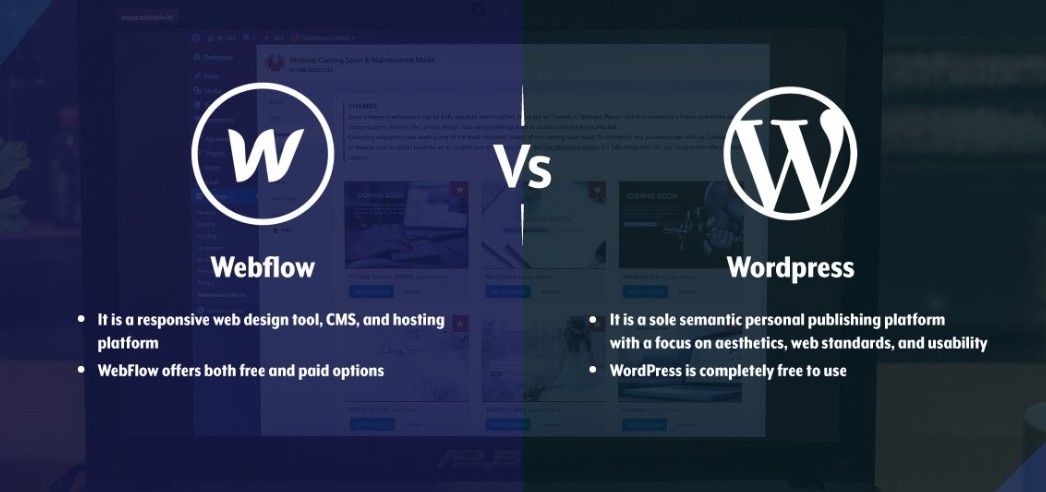 So sánh Webflow và WordPress