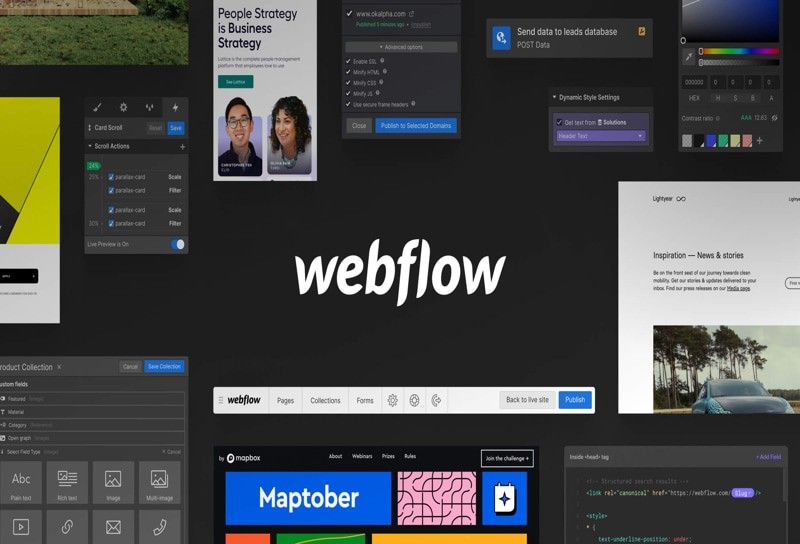Top dịch vụ tối ưu hóa SEO trên Webflow